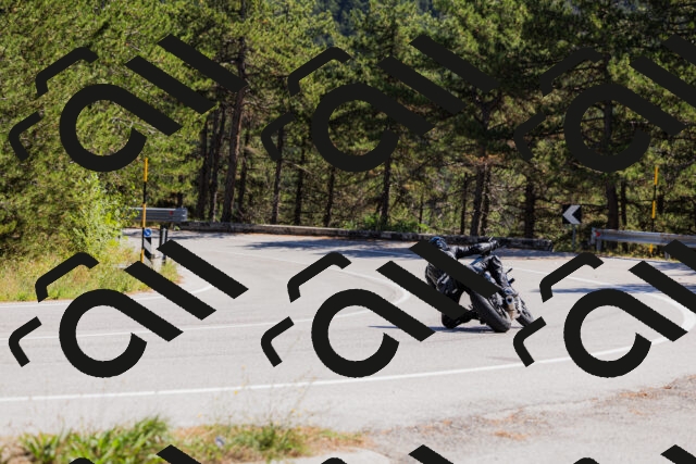 202509061335-_04A6366_c3