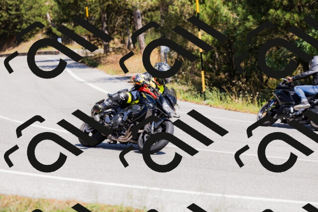 202509061335-_04A6372_c3