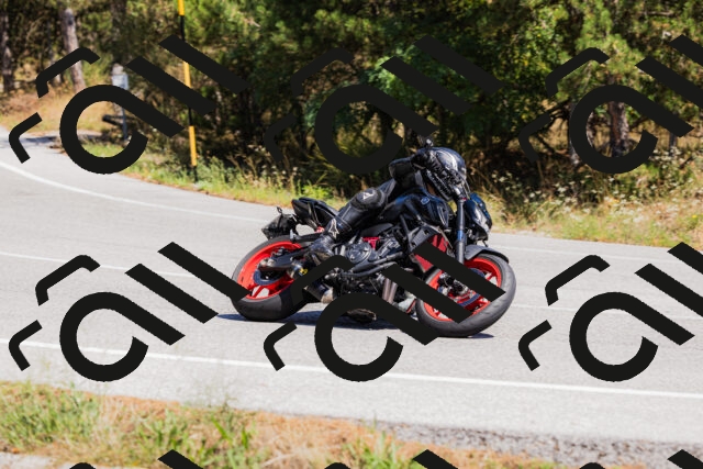 202509061335-_04A6374_c3