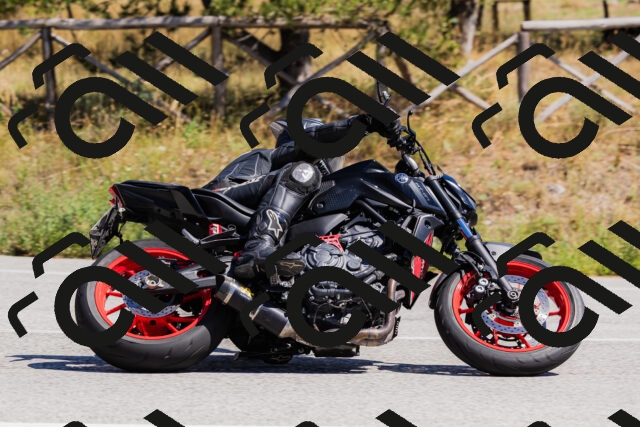 202509061335-_04A6375_c3