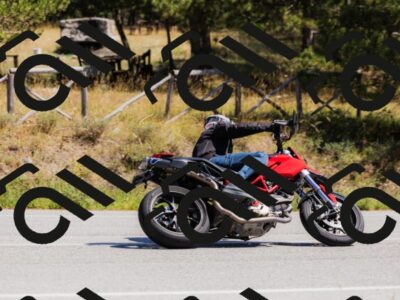 202509061335-_04A6381_c3