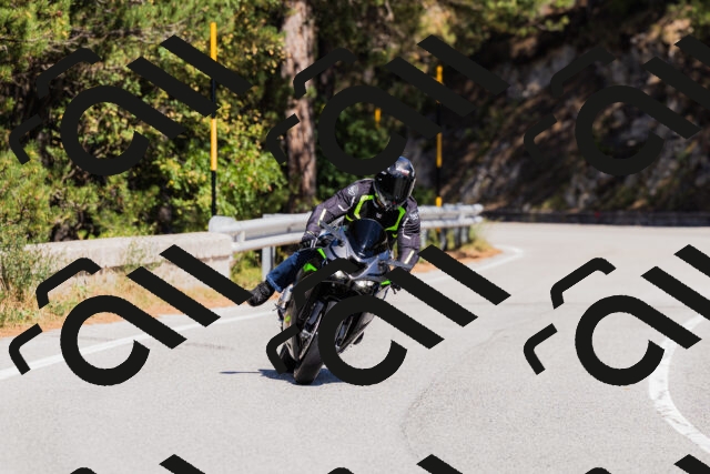 202509061335-_04A6385_c3