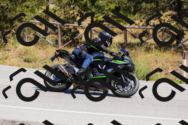 202509061335-_04A6388_c3