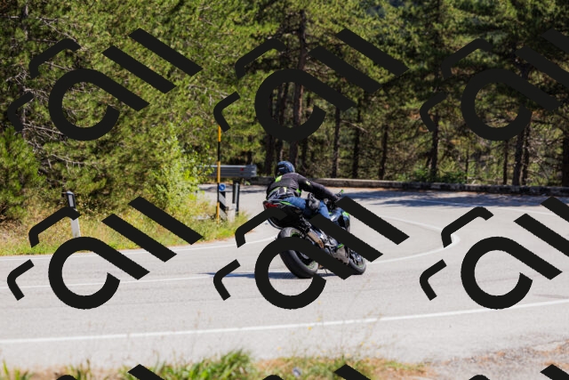 202509061335-_04A6391_c3