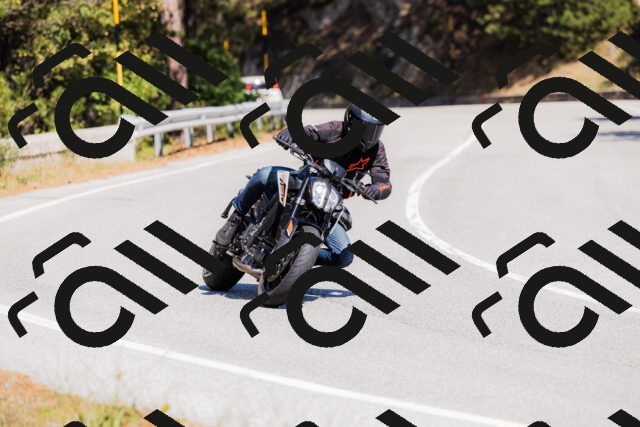 202509061336-_04A6394_c3