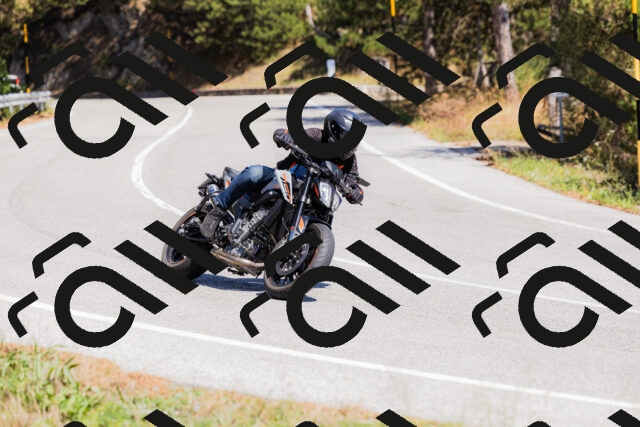 202509061336-_04A6395_c3