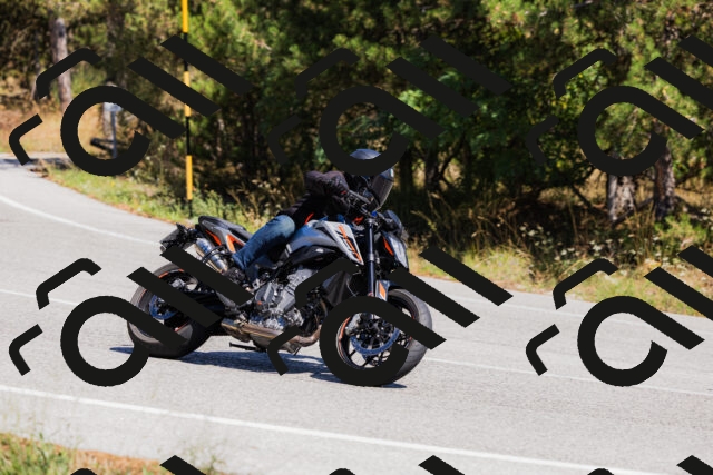 202509061336-_04A6396_c3