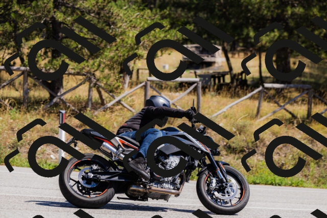 202509061336-_04A6397_c3