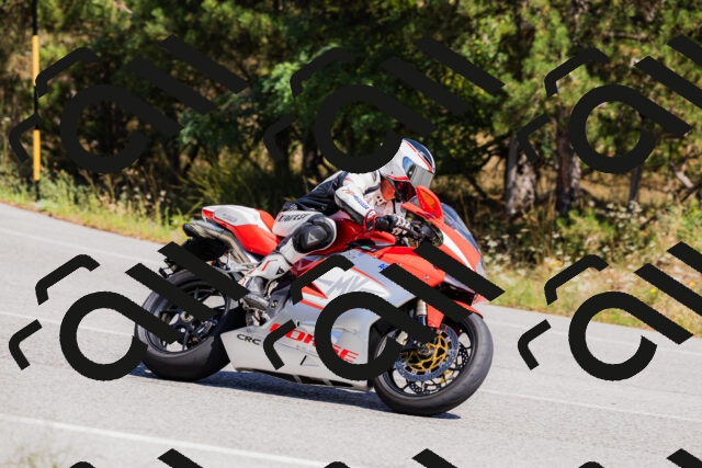 202509061336-_04A6400_c3