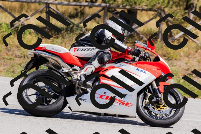 202509061336-_04A6401_c3