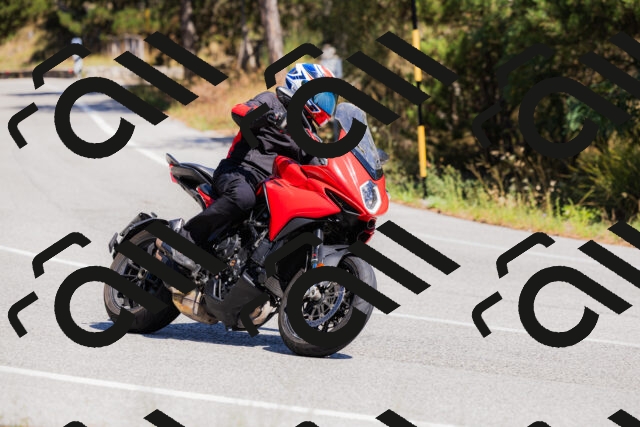 202509061336-_04A6411_c3