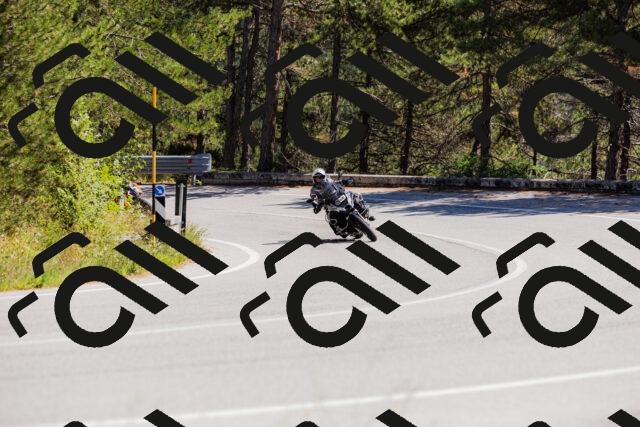 202509061338-_04A6419_c3