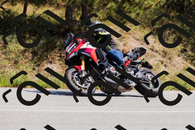 202509061339-_04A6426_c3