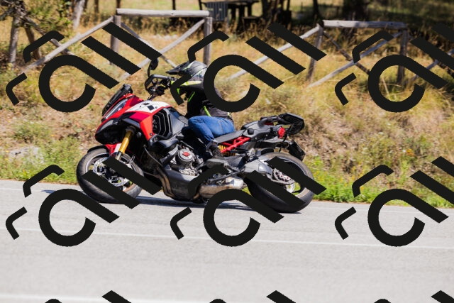 202509061339-_04A6427_c3