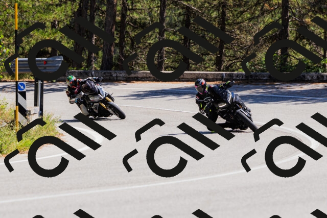 202509061339-_04A6428_c3