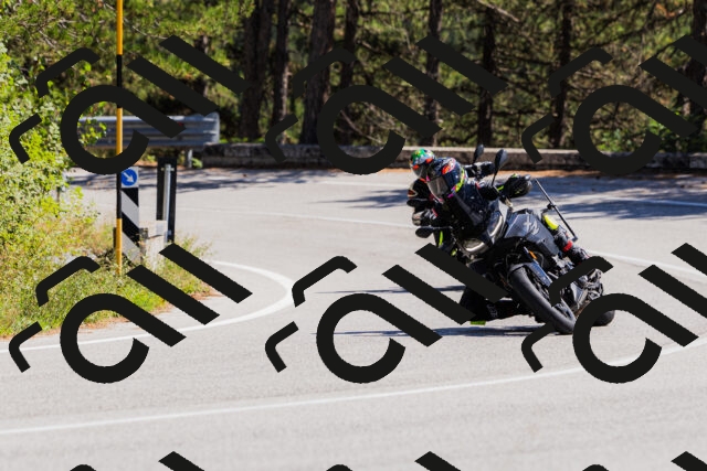 202509061339-_04A6430_c3