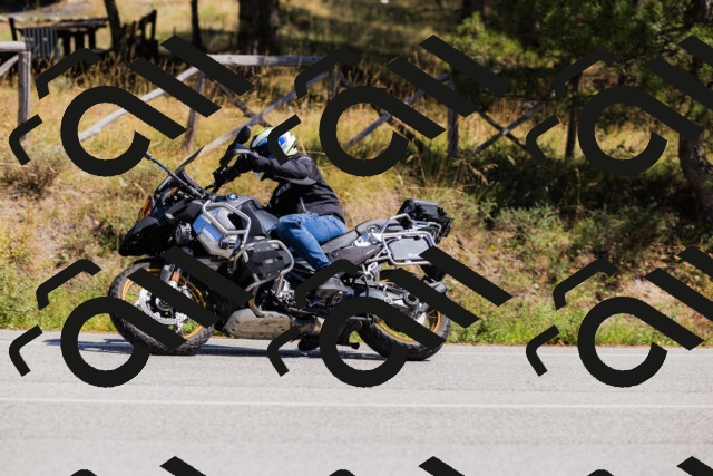 202509061339-_04A6438_c3