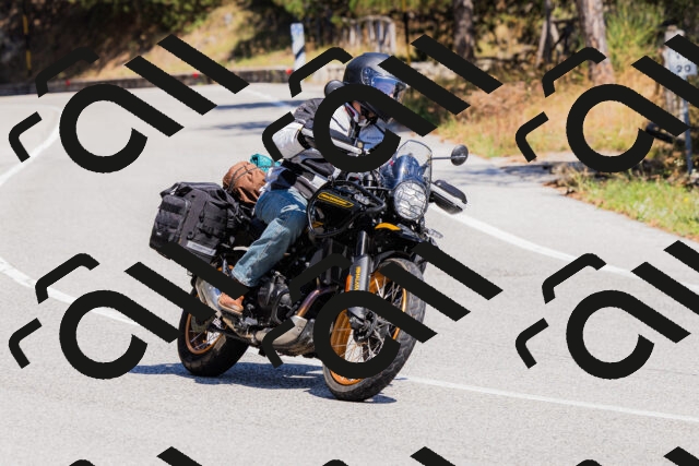 202509061339-_04A6440_c3