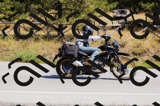 202509061339-_04A6443_c3