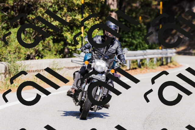 202509061339-_04A6445_c3