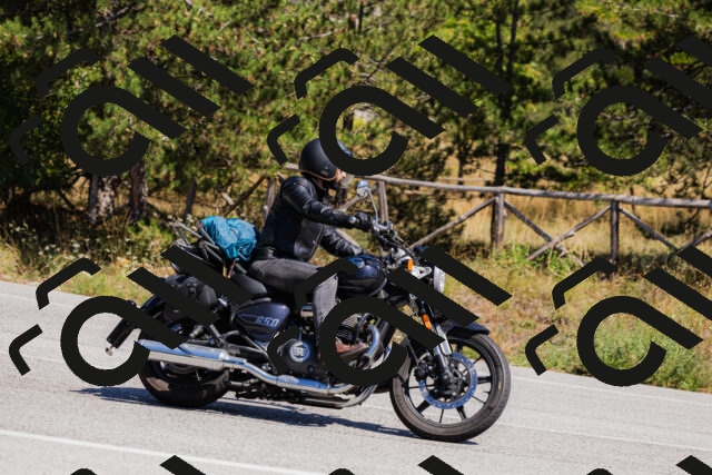 202509061339-_04A6448_c3