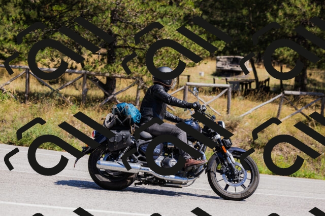 202509061339-_04A6449_c3