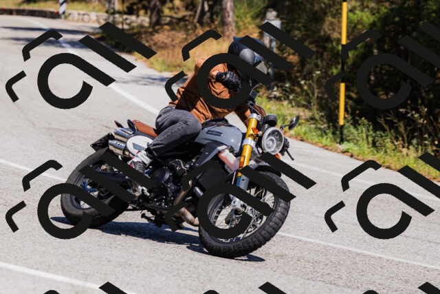 202509061341-_04A6459_c3