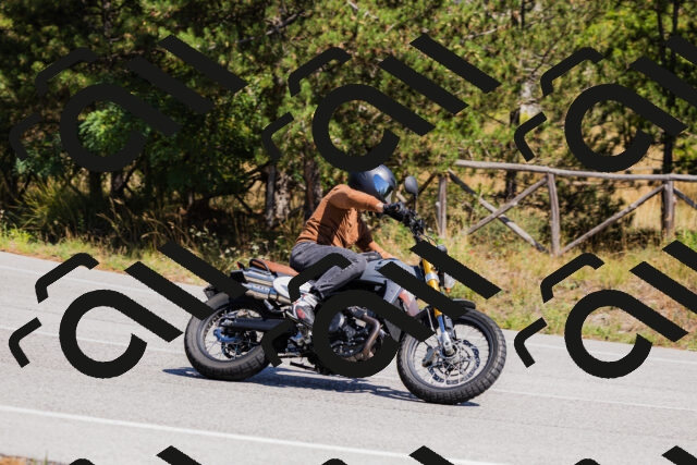 202509061341-_04A6460_c3