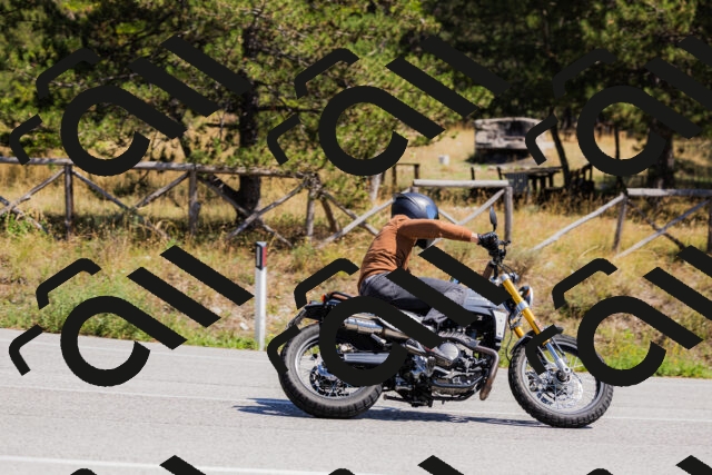 202509061341-_04A6461_c3