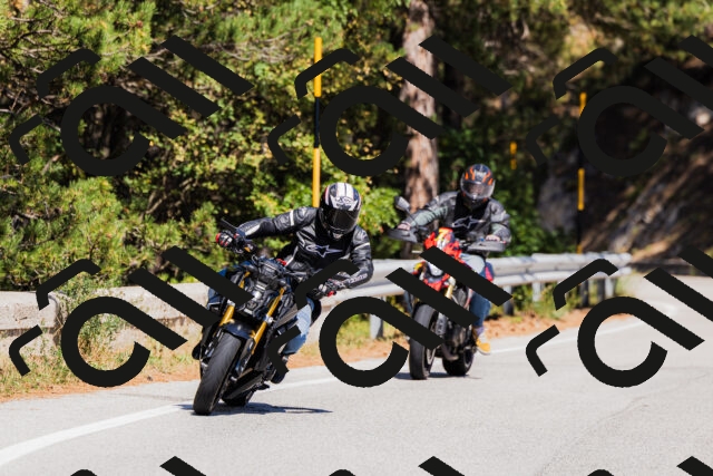 202509061341-_04A6464_c3