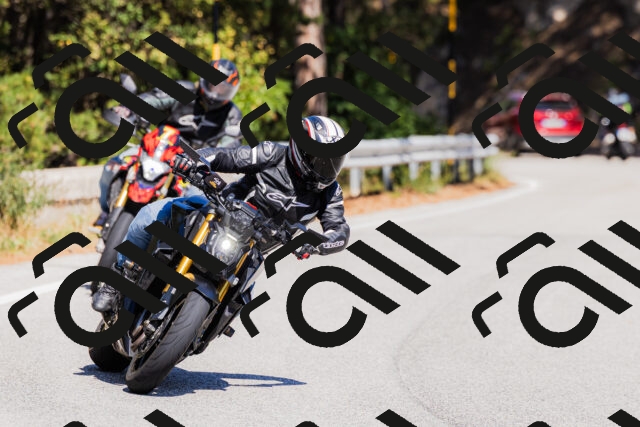 202509061341-_04A6465_c3