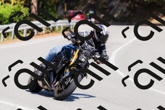 202509061341-_04A6466_c3