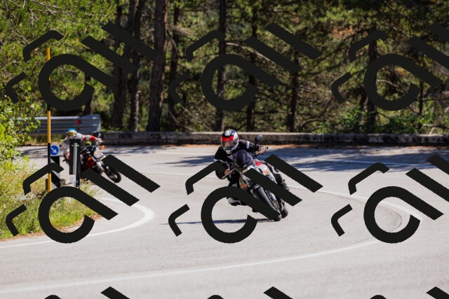 202509061342-_04A6473_c3