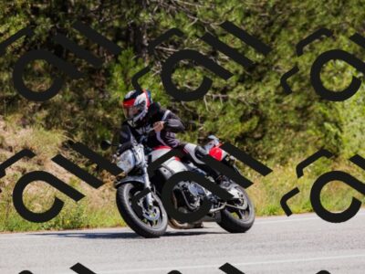 202509061342-_04A6476_c3