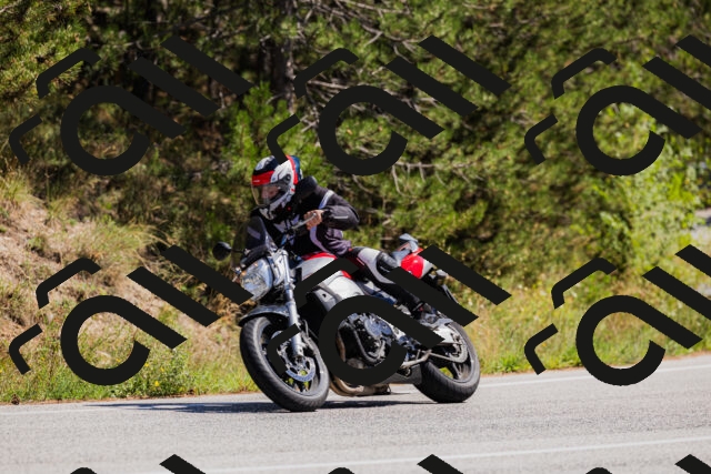 202509061342-_04A6476_c3