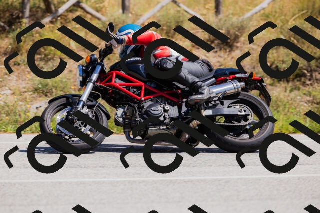 202509061342-_04A6480_c3