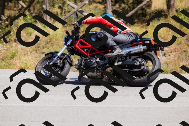 202509061342-_04A6481_c3