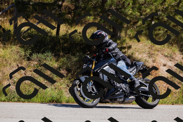 202509061342-_04A6485_c3