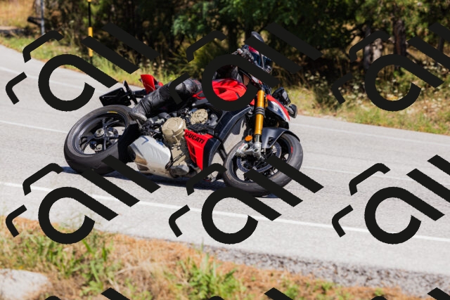 202509061347-_04A6511_c3