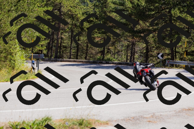 202509061347-_04A6515_c3