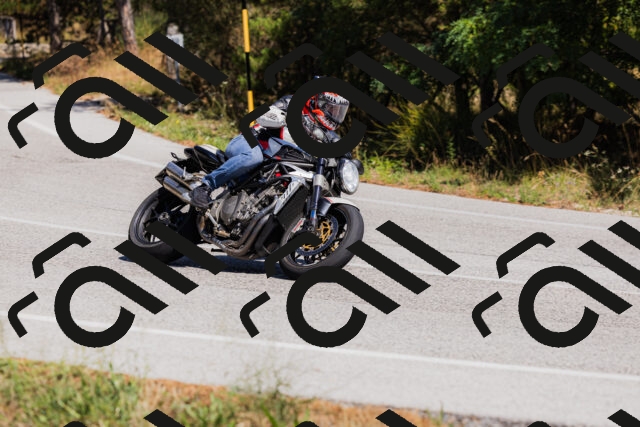 202509061347-_04A6519_c3