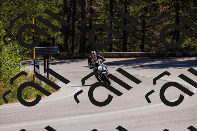 202509061348-_04A6525_c3