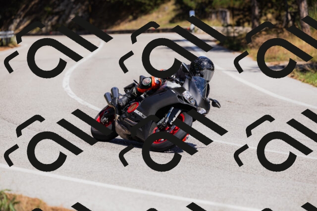 202509061348-_04A6528_c3