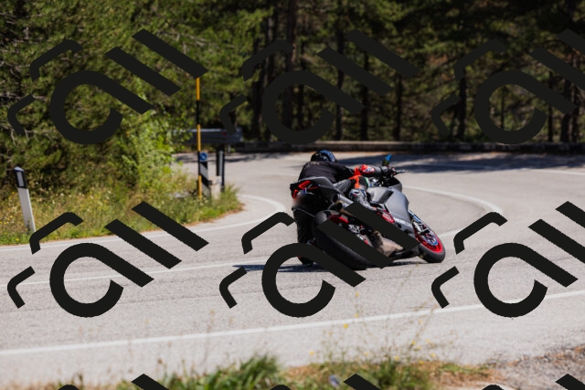 202509061348-_04A6532_c3