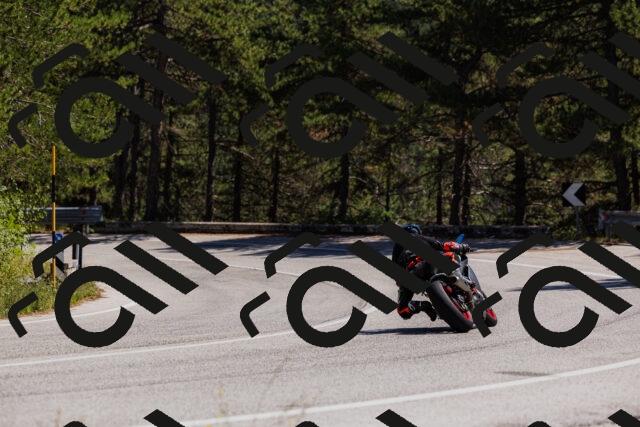 202509061348-_04A6533_c3