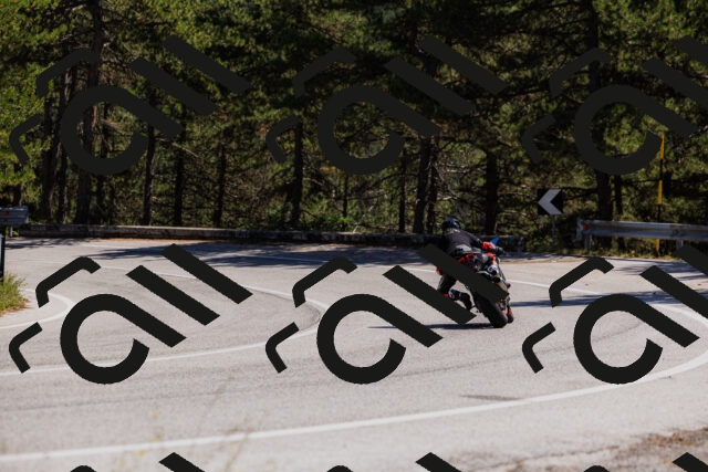 202509061348-_04A6534_c3