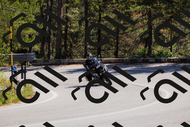 202509061349-_04A6535_c3