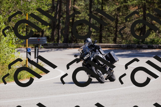 202509061349-_04A6538_c3