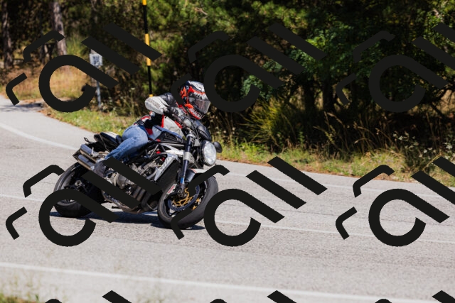 202509061349-_04A6546_c3