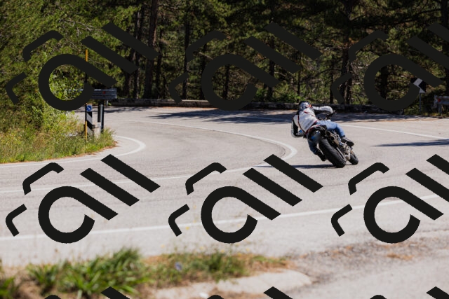 202509061349-_04A6551_c3